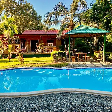 Uvita Oasis Retreat With Villa Cabins And Apartment エクステリア 写真