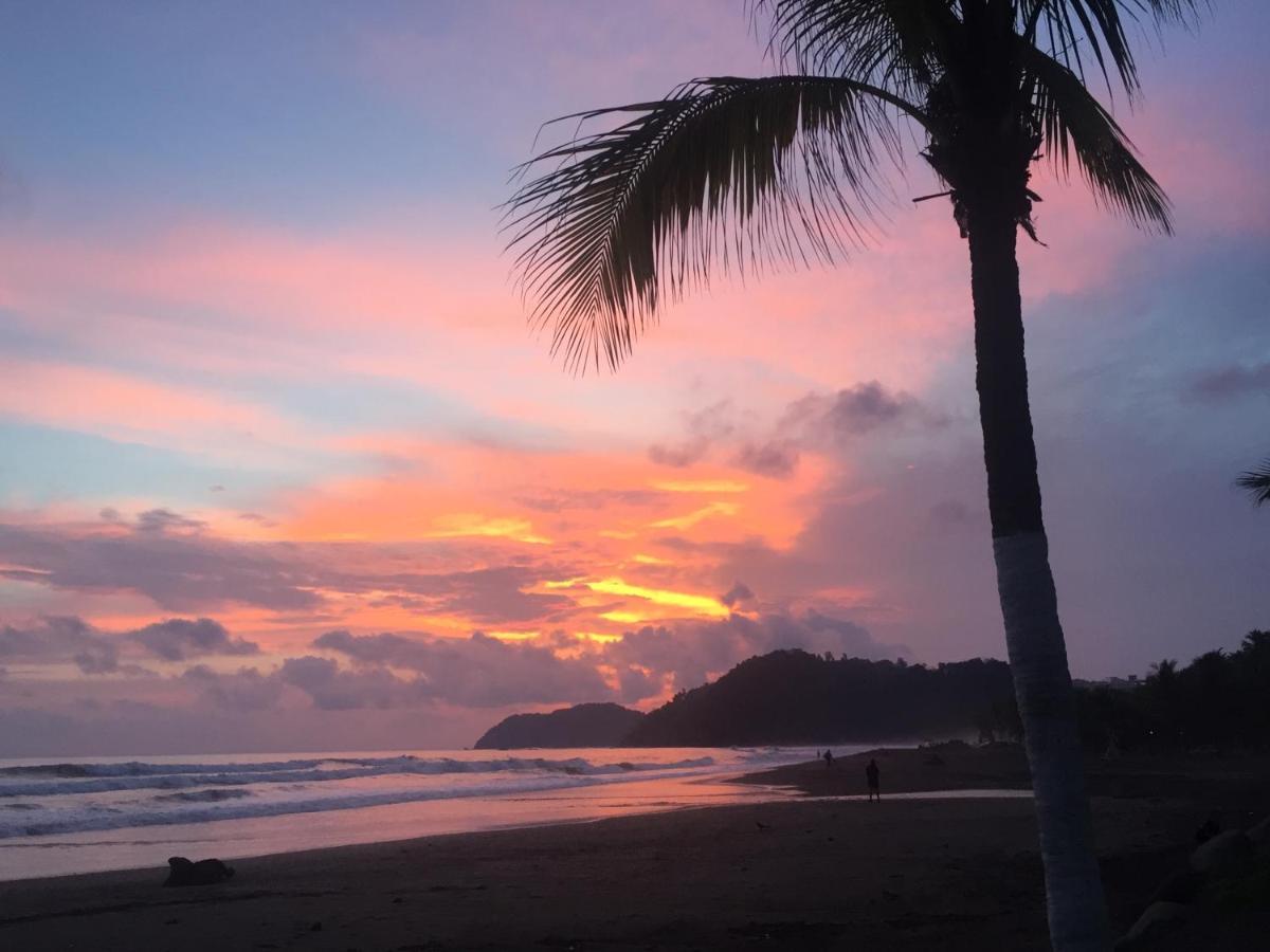 Uvita Oasis Retreat With Villa Cabins And Apartment エクステリア 写真