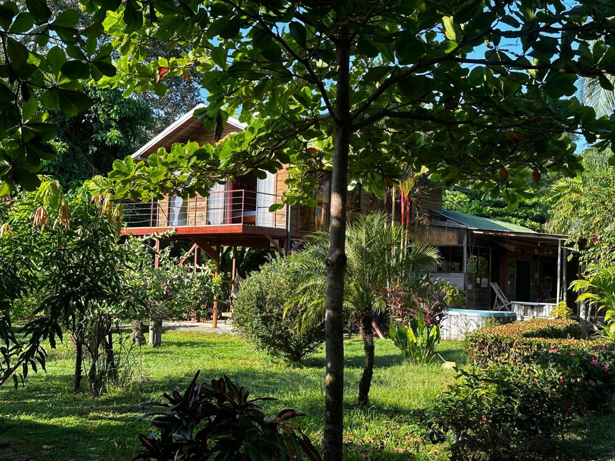 Uvita Oasis Retreat With Villa Cabins And Apartment エクステリア 写真