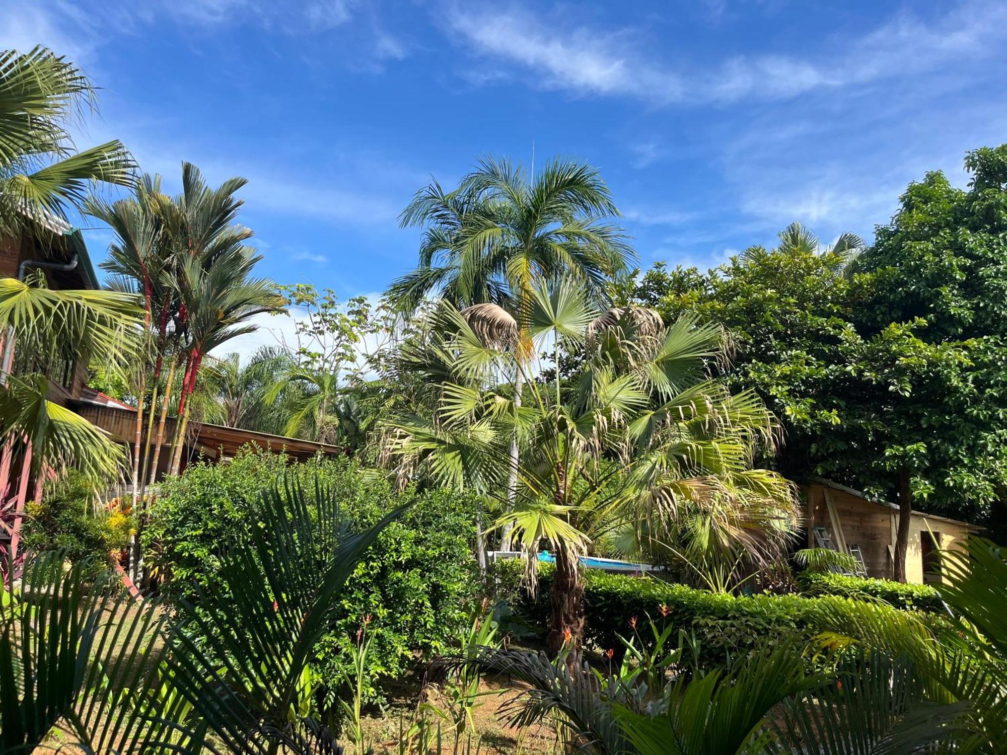 Uvita Oasis Retreat With Villa Cabins And Apartment エクステリア 写真