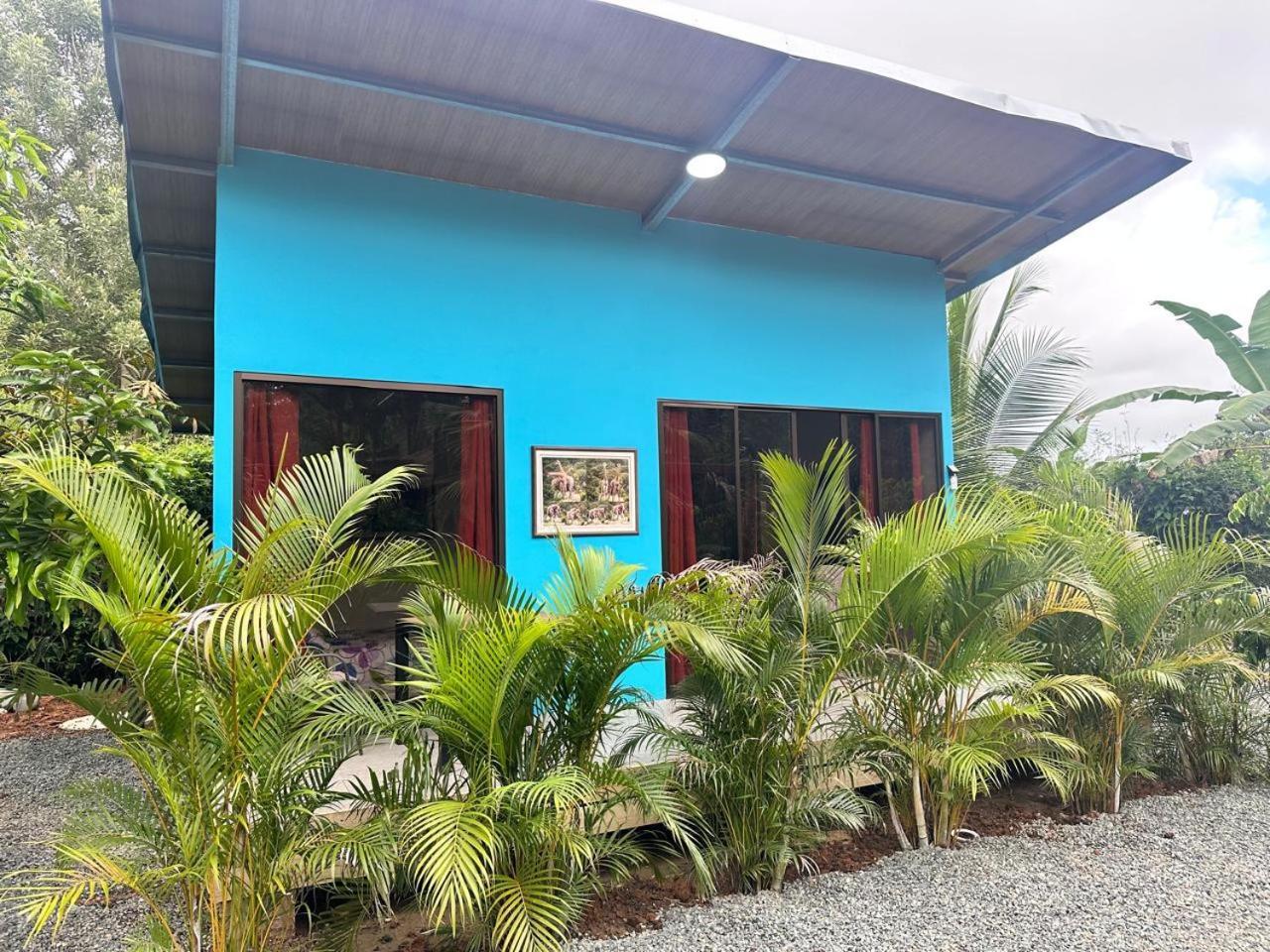 Uvita Oasis Retreat With Villa Cabins And Apartment エクステリア 写真