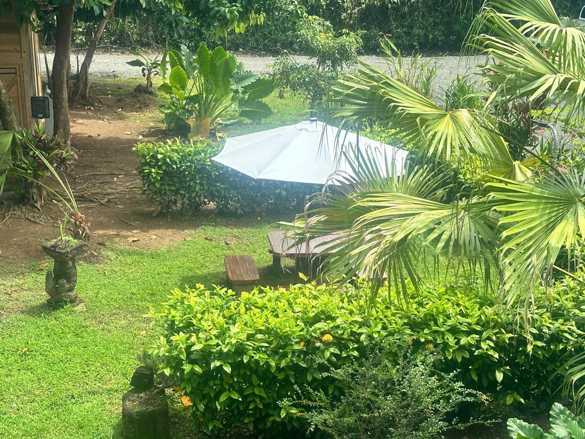 Uvita Oasis Retreat With Villa Cabins And Apartment エクステリア 写真