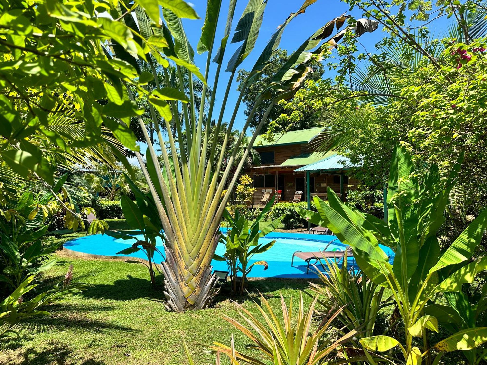 Uvita Oasis Retreat With Villa Cabins And Apartment エクステリア 写真