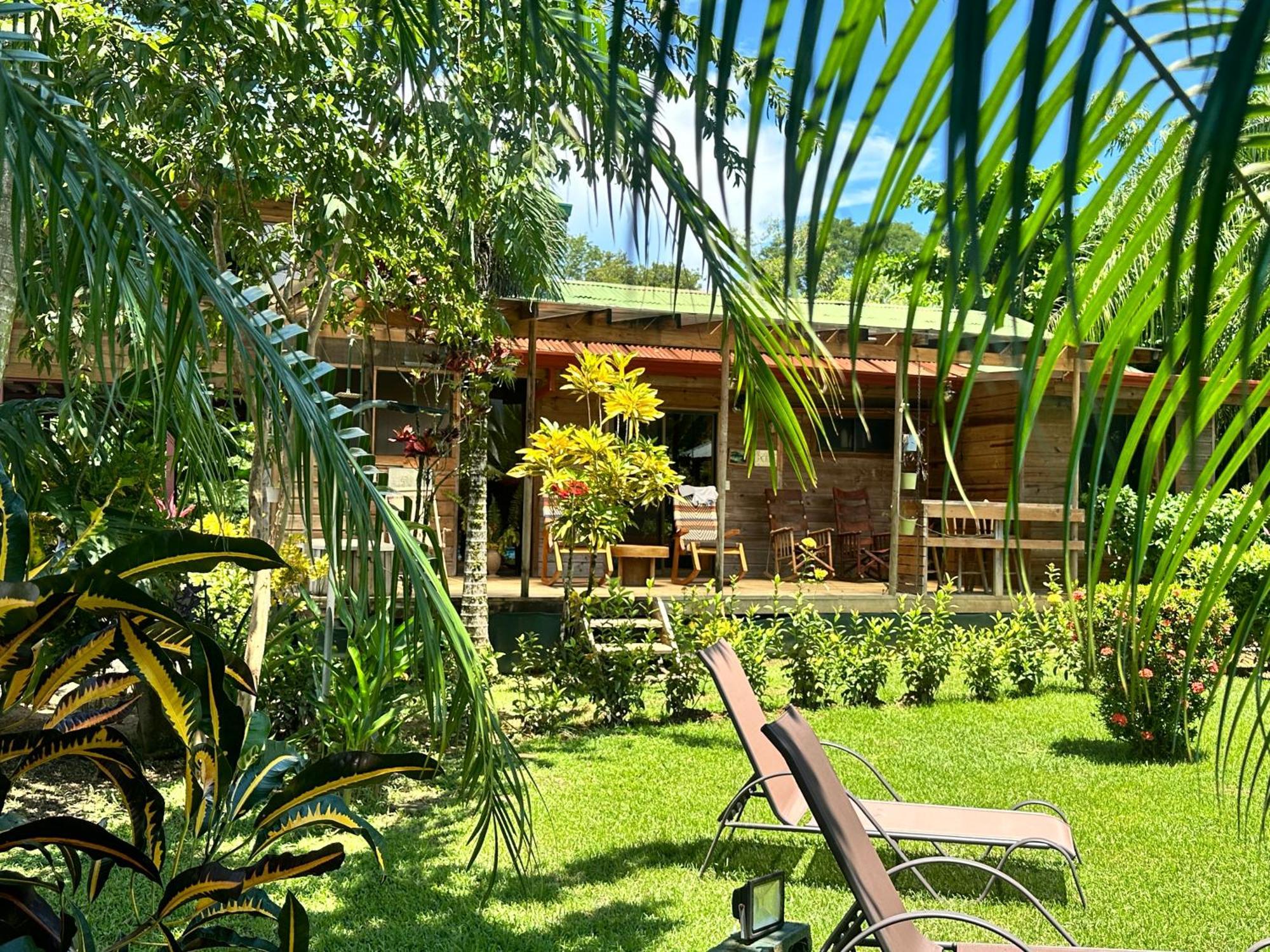 Uvita Oasis Retreat With Villa Cabins And Apartment エクステリア 写真