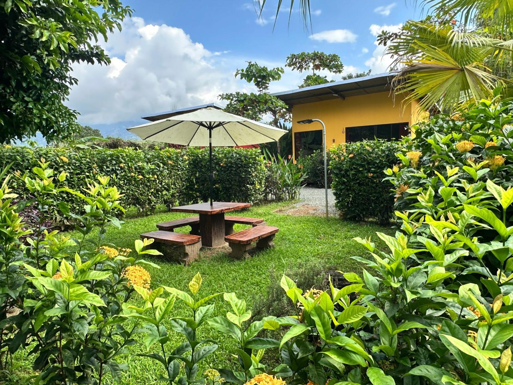 Uvita Oasis Retreat With Villa Cabins And Apartment エクステリア 写真