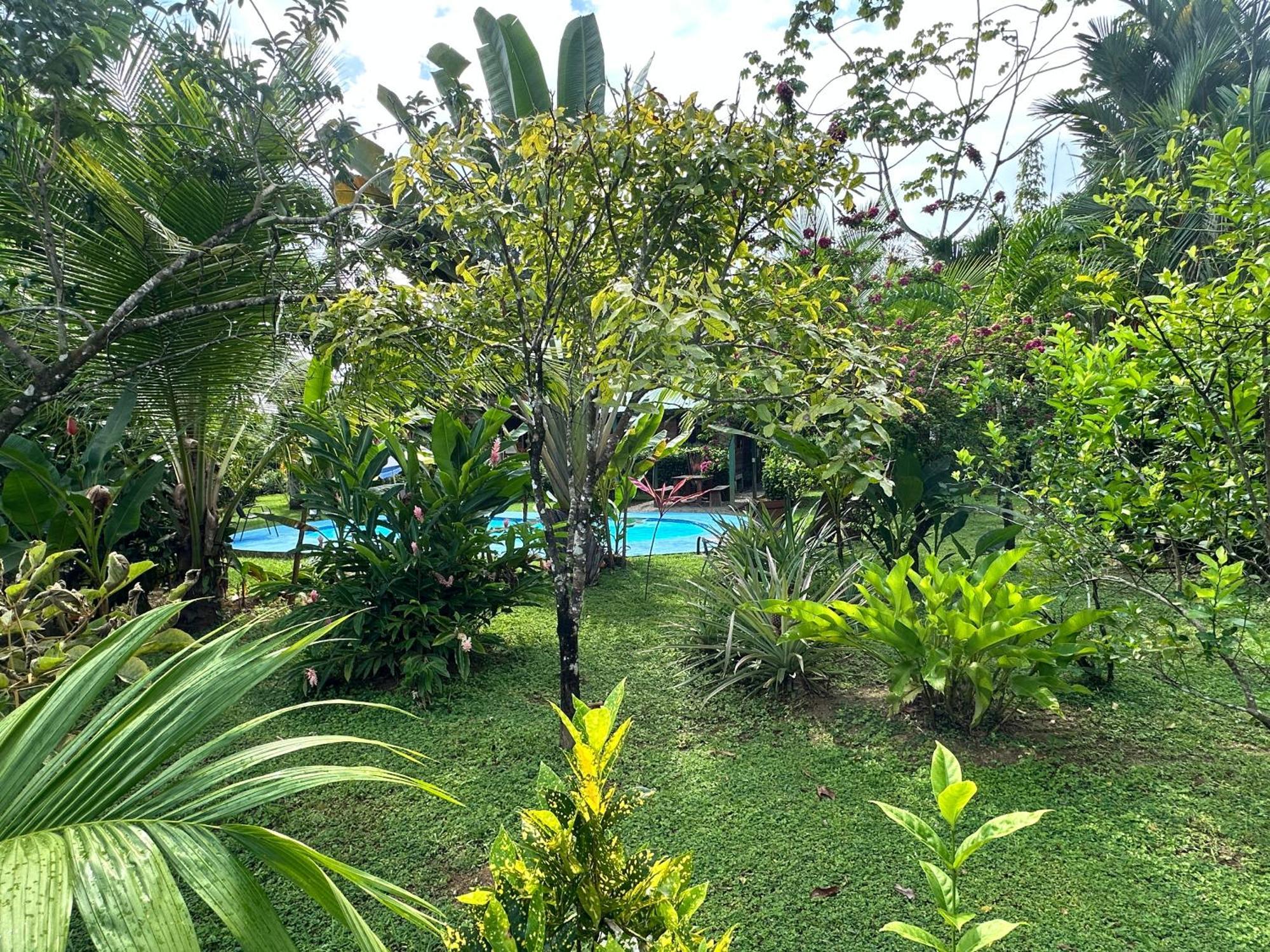 Uvita Oasis Retreat With Villa Cabins And Apartment エクステリア 写真